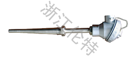 固定螺纹连接热电偶（阻）