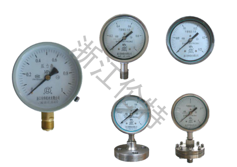 Pressure Gauge
